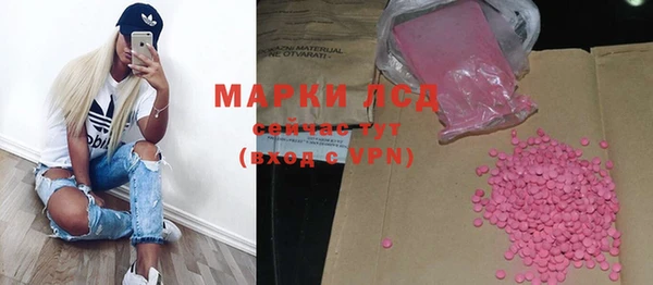 эйфоретик Гусь-Хрустальный