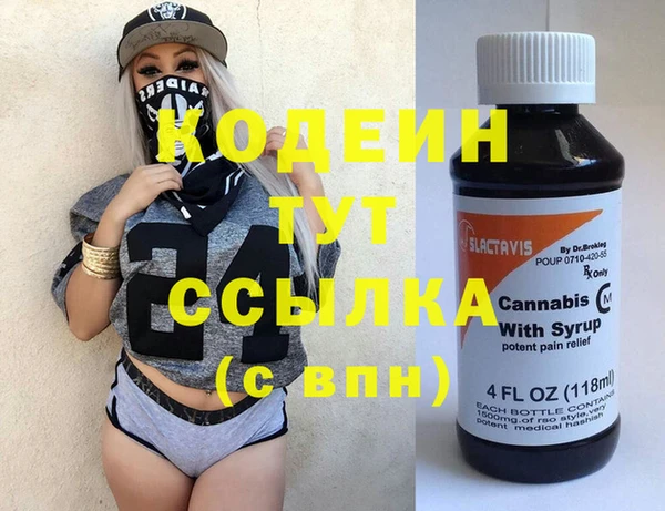 эйфоретик Гусь-Хрустальный
