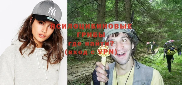 ECSTASY Гусиноозёрск