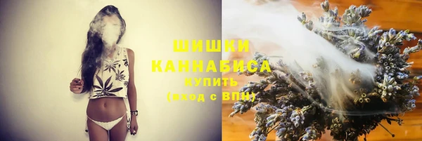 эйфоретик Гусь-Хрустальный