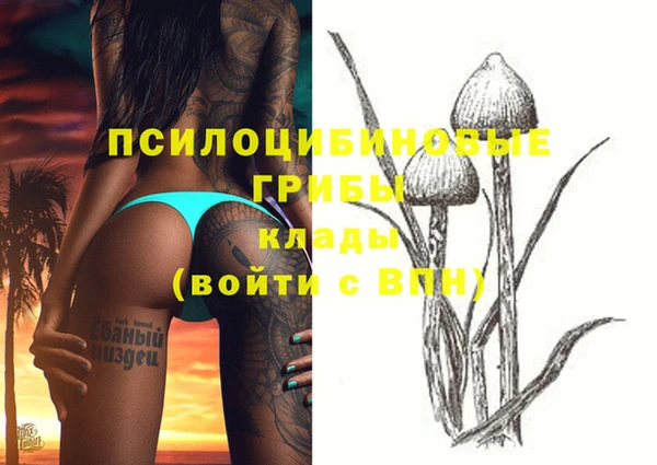 ECSTASY Гусиноозёрск