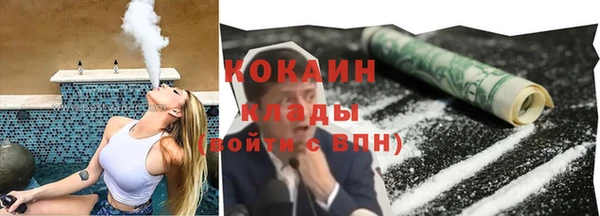 эйфоретик Гусь-Хрустальный