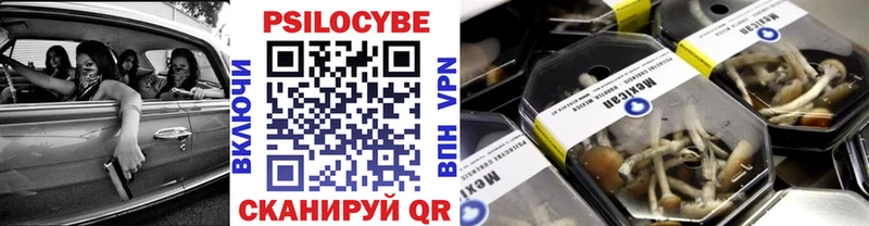Галлюциногенные грибы Psilocybe  Купить закладки  Аша 